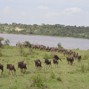 Serengeti National Park